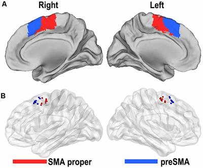Differential Reorganization of SMA Subregions After Stroke: A Subregional Level Resting-State Functional Connectivity Study